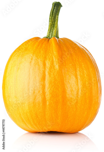 ripe pumpkin