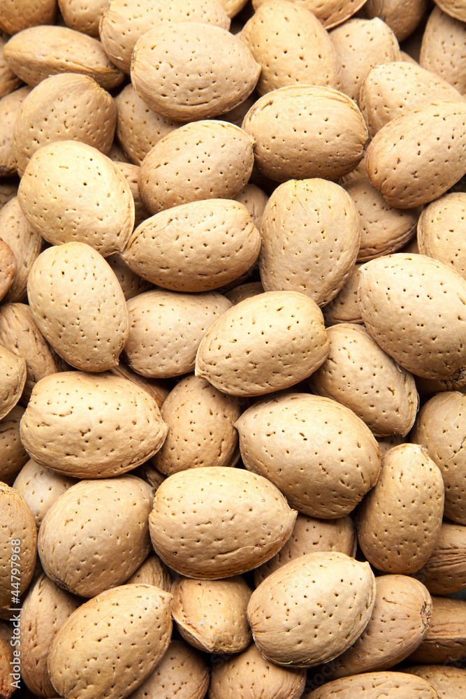 almendras cosechadas almendras cosechadas