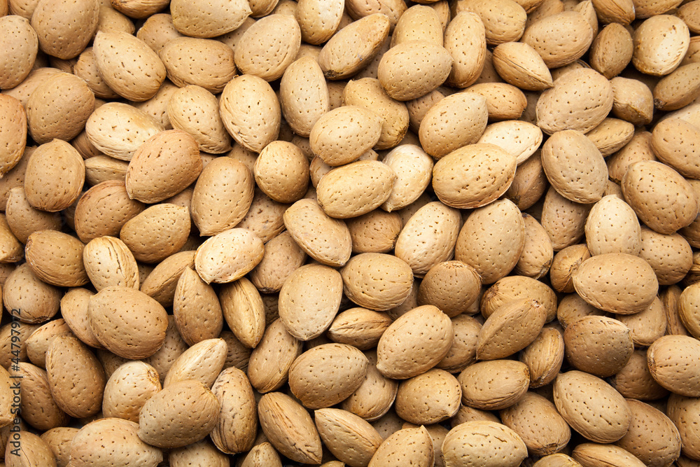 Obraz premium almendras cosechadas