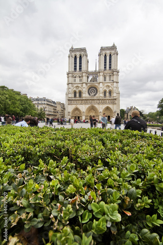 Notre Dame Cathedral in Paris, France