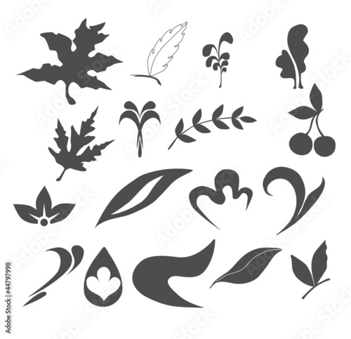 Collection of Leaf nature icons