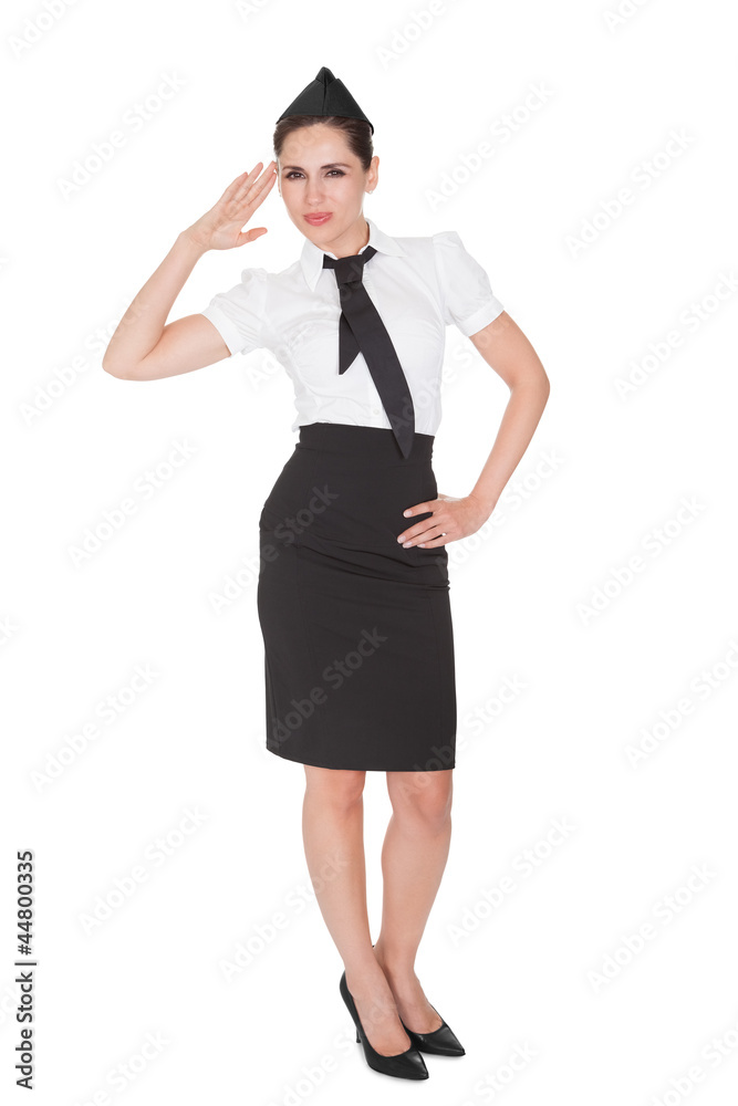 Portrait of beautiful stewardess Portrait of beautiful stewardess