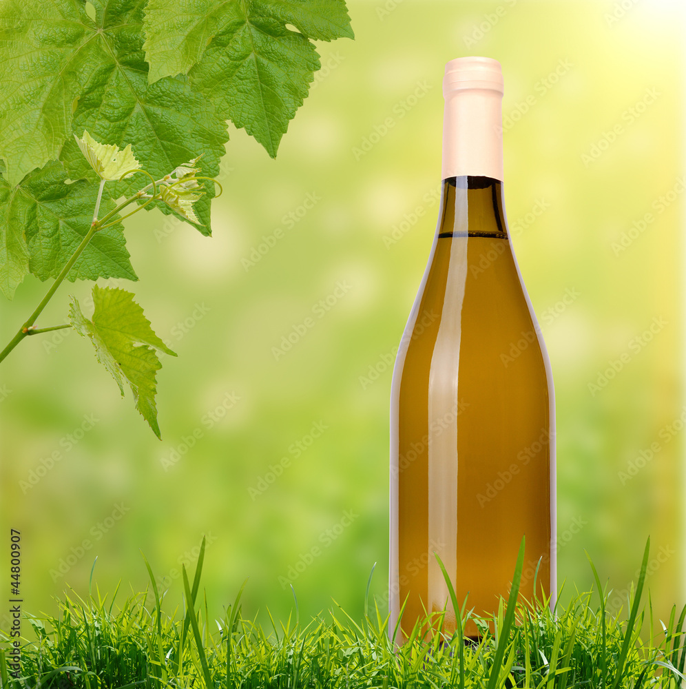 white wine on grass background
