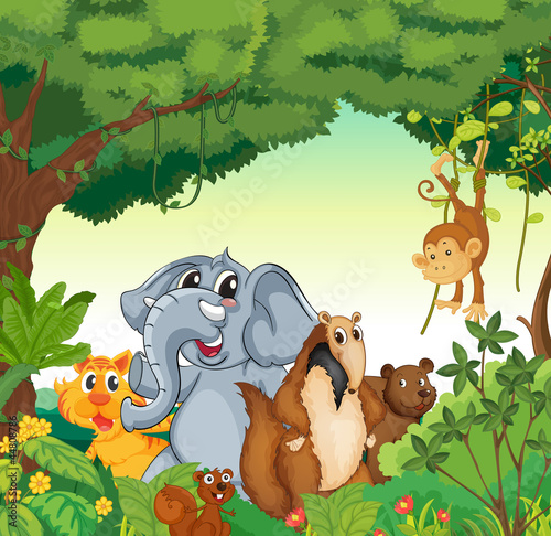various animals