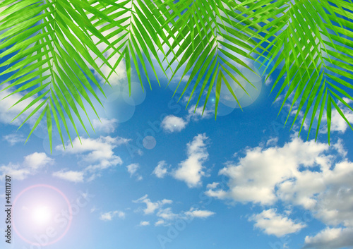 Tropical background with lens flare effect
