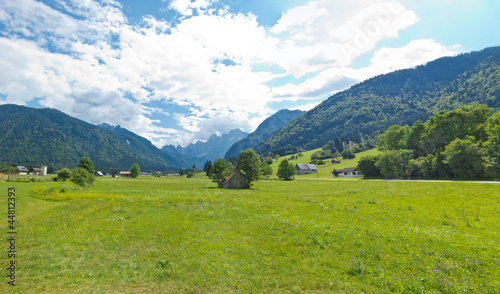 panoramic view of a mountain meadow