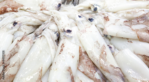 Fresh squid in exposed in market Barcelona