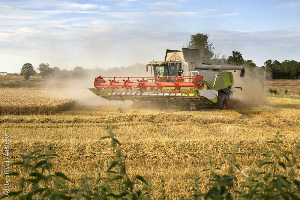 Fototapeta premium Combine Harvester