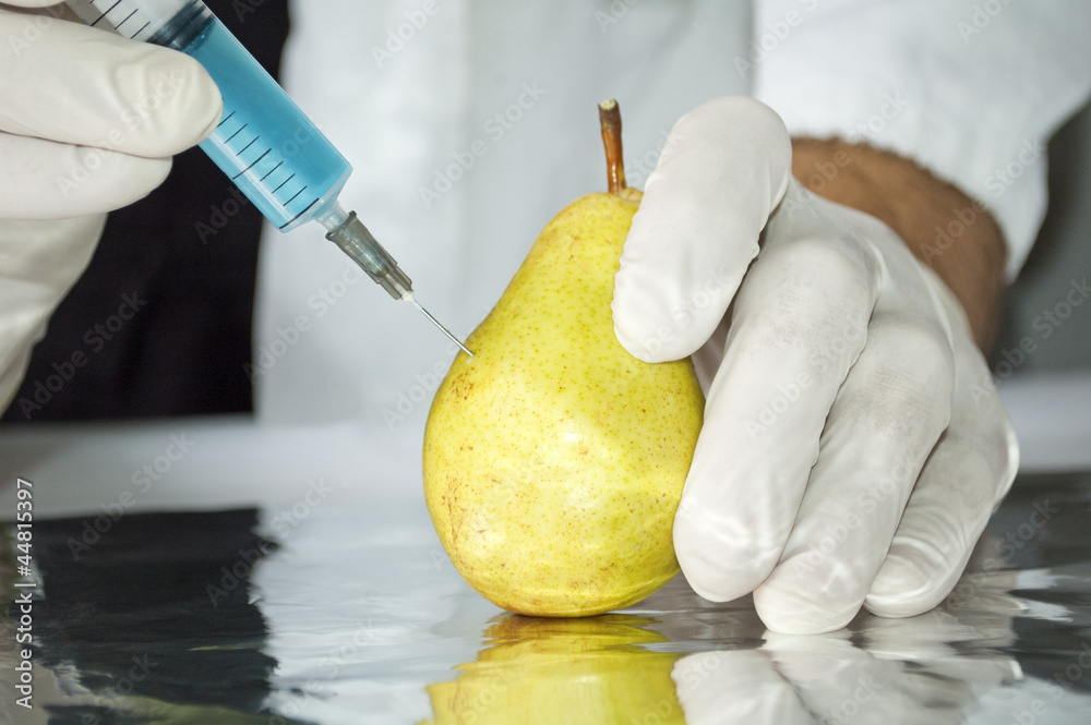 Yellow pear in genetic engineering laboratory, gmo food concept - obrazy, fototapety, plakaty 