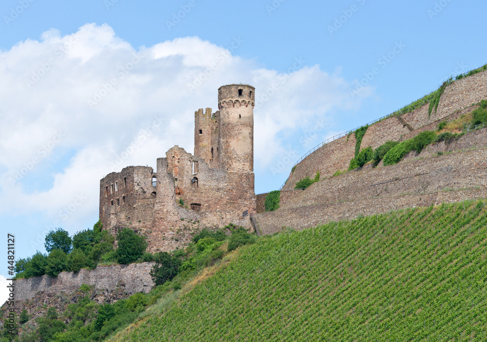 Fototapeta premium Burg im Weinberg - Castle in Vineyard