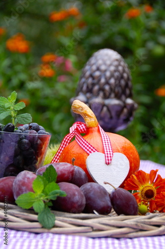 Herbsternte Obst und Gemüse