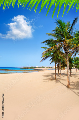 Arrecife Lanzarote Playa Reducto beach palm trees