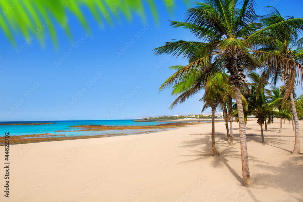 Arrecife Lanzarote Playa Reducto beach palm trees