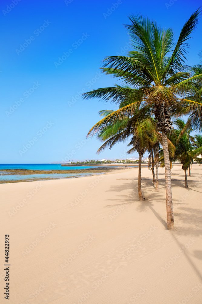 Obraz premium Arrecife Lanzarote Playa Reducto beach palm trees
