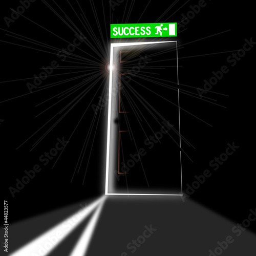 Porta del successo