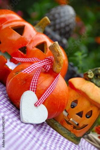 Halloween  Kürbisse