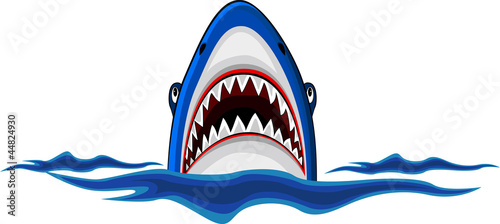 angry shark