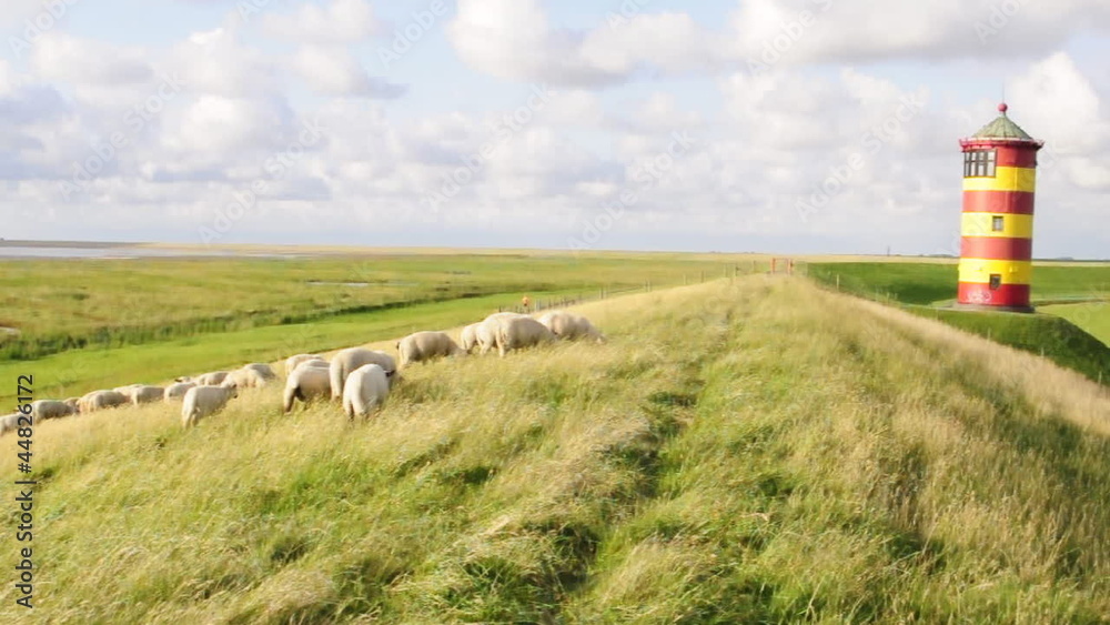Schafe vorm Pilsumer Leuchtturm
