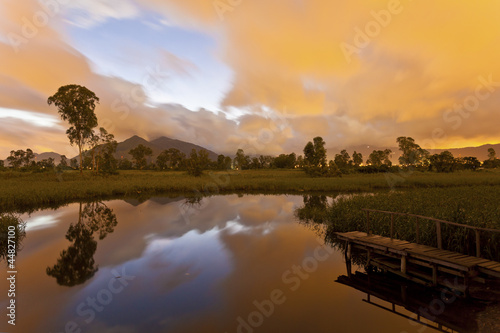 Sunrise pond at wetland