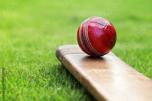 Cricket bat and ball photo