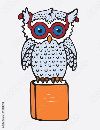 Cartoon Owl