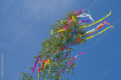 Maibaum photo