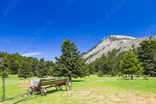 Alps scenery