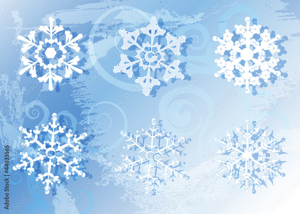 Snowflakes on the frozen background
