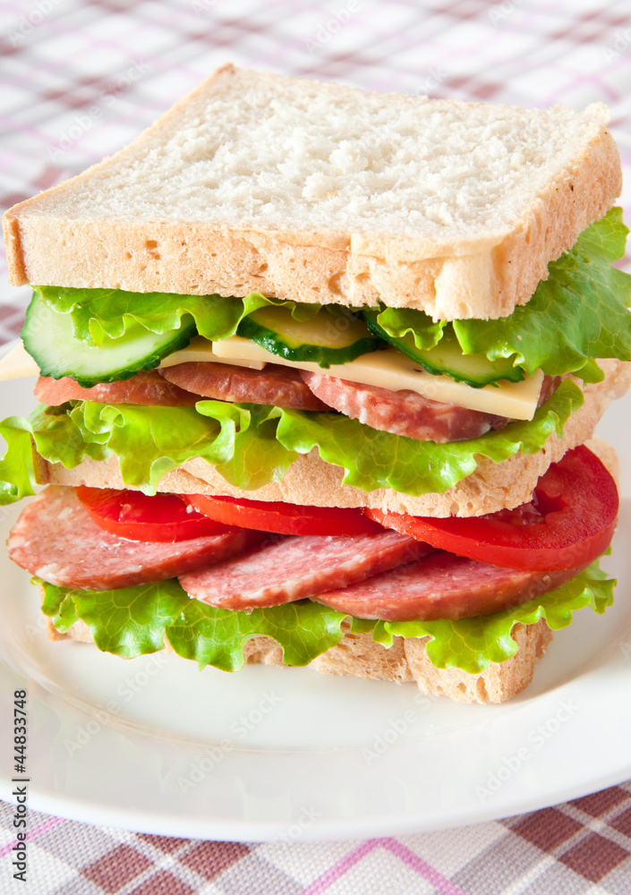 Fresh and tasty sandwich on a white plate Fresh and tasty sandwich on a white plate