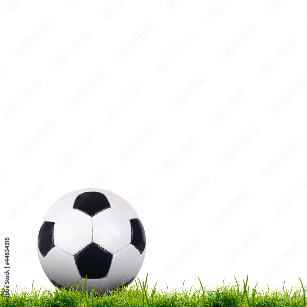 Obraz premium soccer ball on the green grass