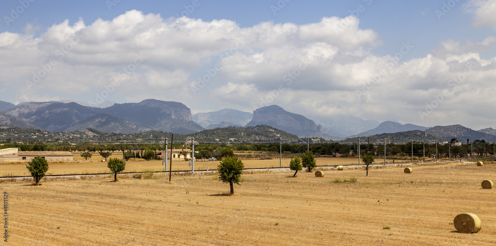Obraz premium Landscape in Mallorca