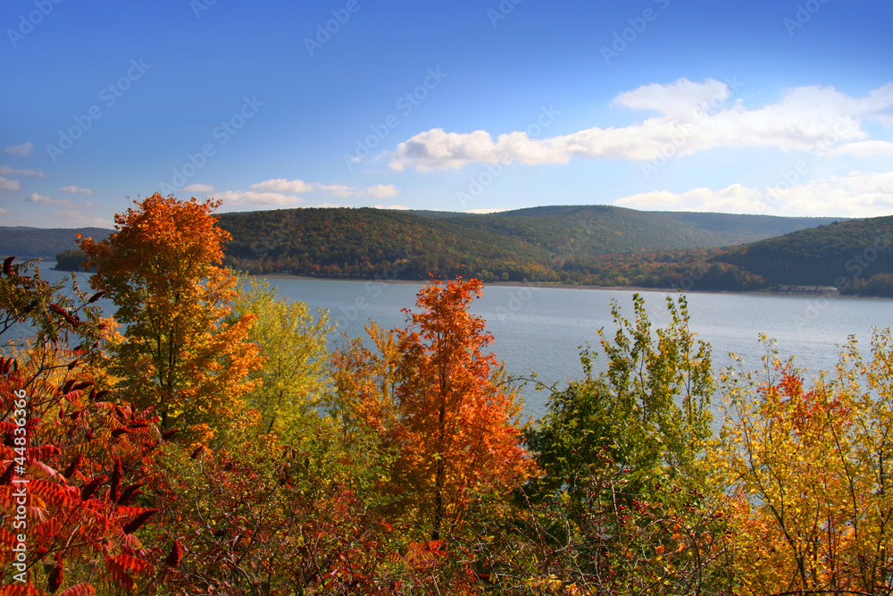 Bright autumn trees by the lake Bright autumn trees by the lake