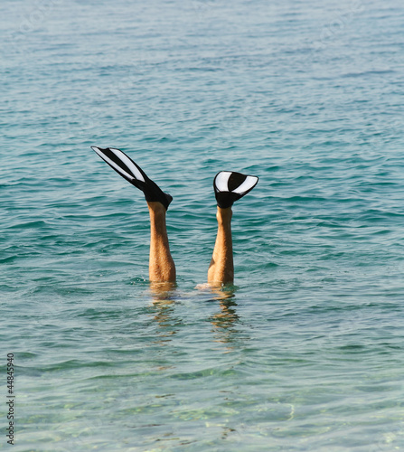 Legs with flippers -- free diver