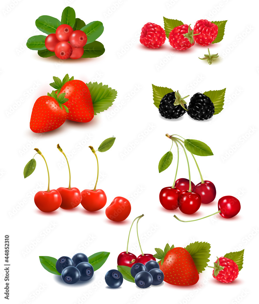 Big group of fresh berries Vector illustration Big group of fresh berries Vector illustration
