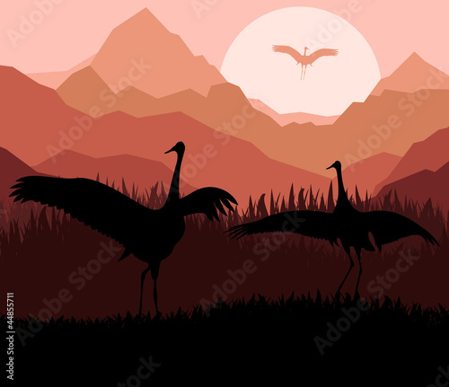 Crane in sunset vector background