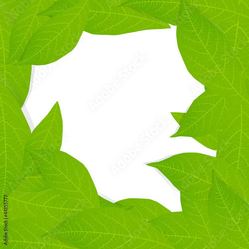 Green leaves background vector © kstudija