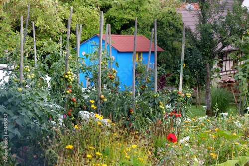 Gemüsegarten