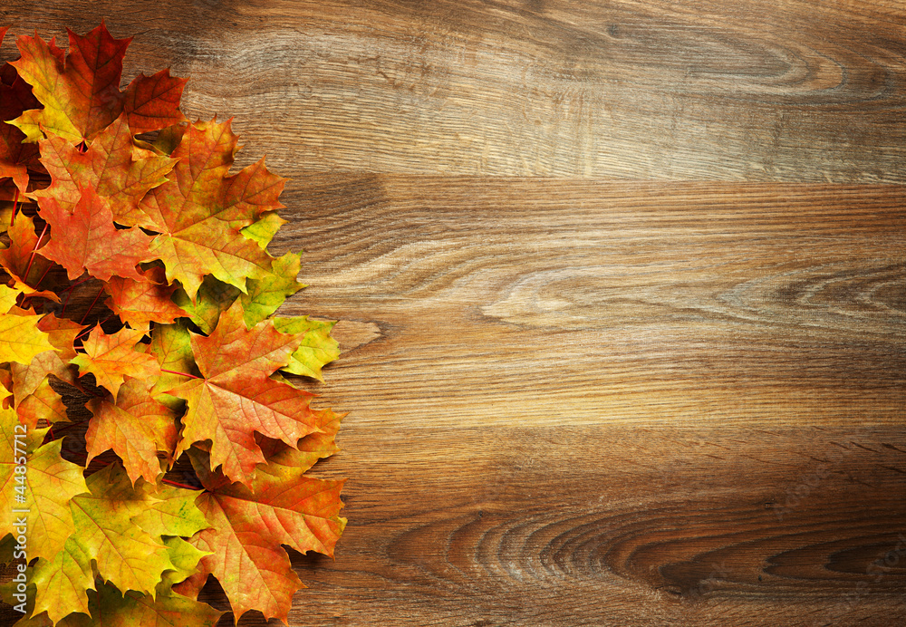 yellow wet autumn leaves on the background a dark old wood yellow wet autumn leaves on the background a dark old wood