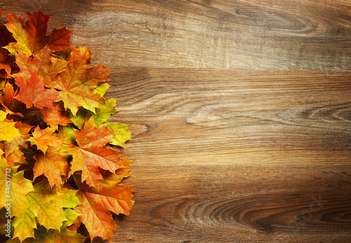 Obraz na plátně yellow wet autumn leaves on the background a dark old wood