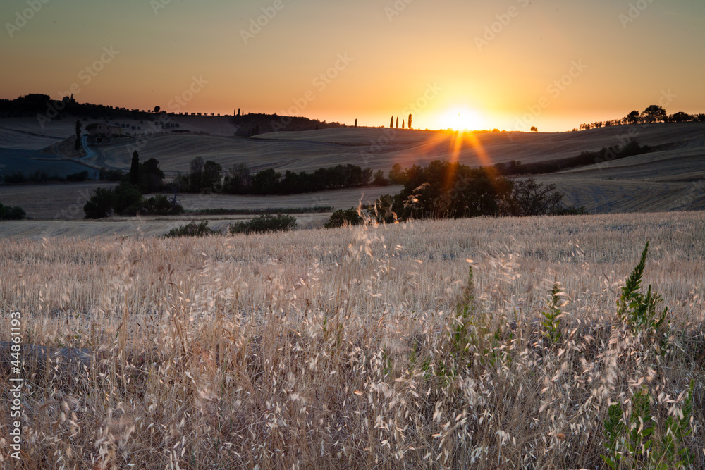 Sunset in tuscan country, near Pienza, Tuscany, Italy