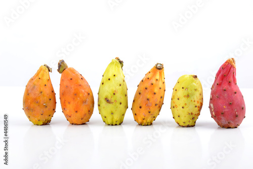 Carte Postale - 6 Figues de Barbarie alignées