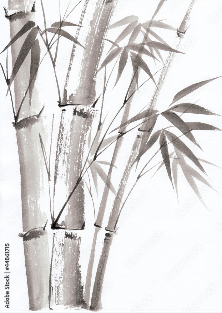 Fototapeta premium Watercolor painting of bamboo