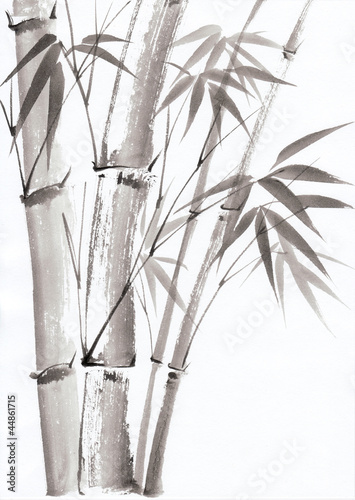 Watercolor painting of bamboo #44861715