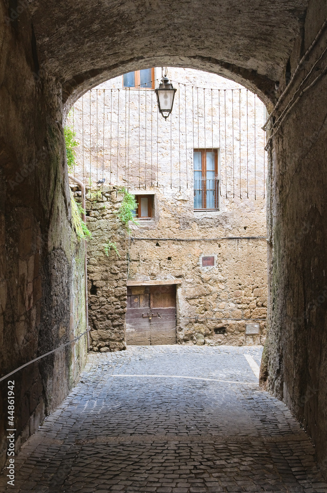 Fototapeta premium Alleyway. Calcata. Lazio. Italy.