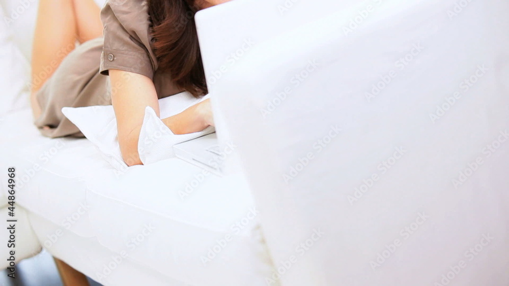 Brunette Lady Laptop Social Networking 
