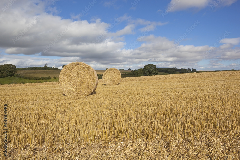 yorkshire wolds harvest time