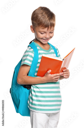 Little boy with books