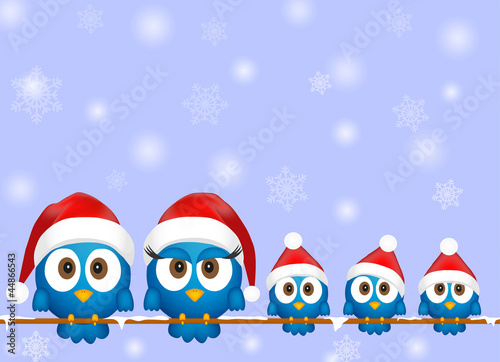 Cute christmas birds