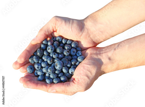 Handful of blueberries