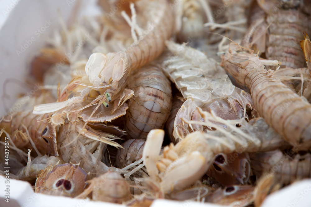 Fresh shrimp Fresh shrimp